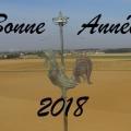 Bonne annee 2018 drone malin et ses pilotes de drone