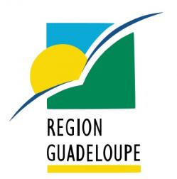 Pilotes de drone en Guadeloupe travaux et vues aériennes